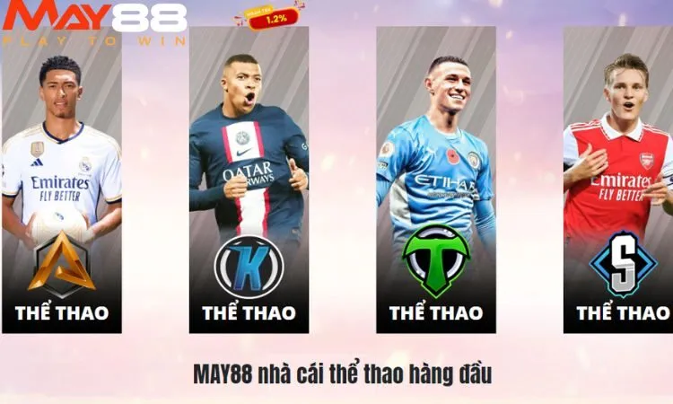 Các loại hình thể thao tại May88