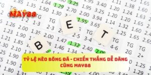 Tỷ Lệ Kèo Bóng Đá Là Gì? Vì Sao Chúng Quan Trọng?