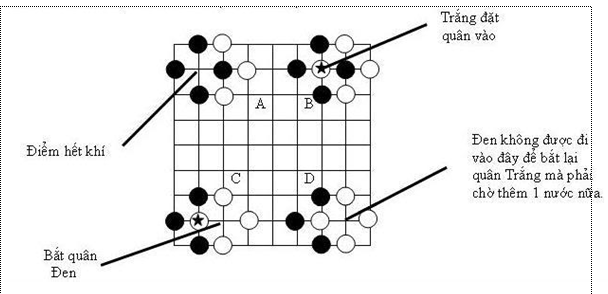 Khí là gì và tầm quan trọng của khí